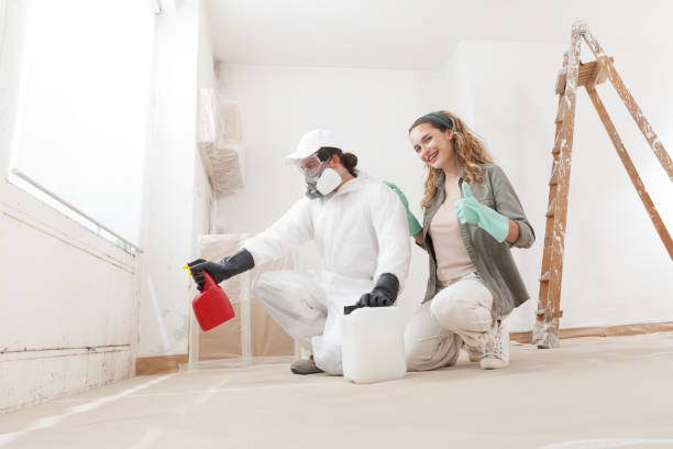 Best Biohazard Mold Removal  in Baywood Park, CA